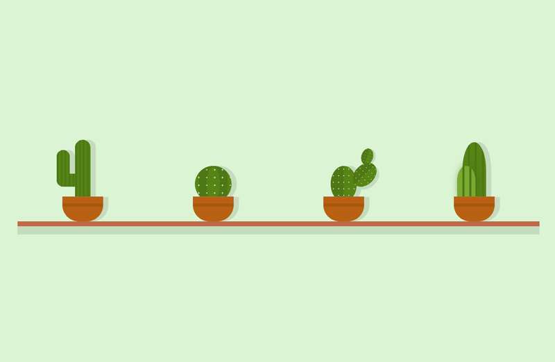 仙人掌植物盆栽ui布局特效