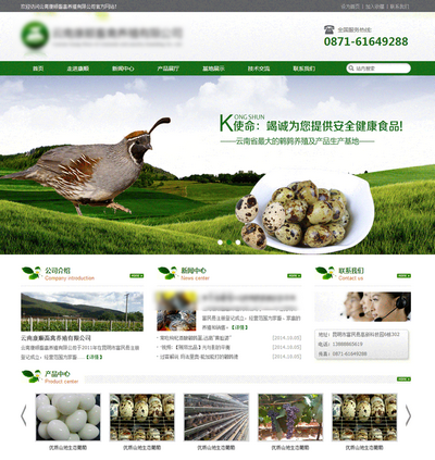 家禽养殖公司html静态网页模板