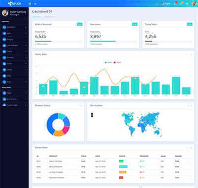 Bootstrap框架网站统计管理html静态模板