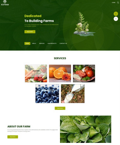 有机蔬菜水果家禽农产品宣传推广企业模板