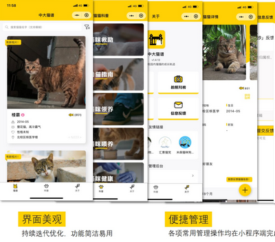 校园流浪猫信息记录和分享的小程序源码