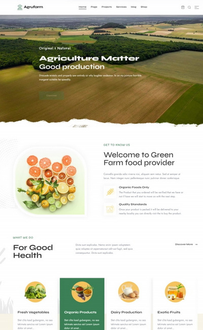 大气生态农业蔬菜粮食生产销售企业模板