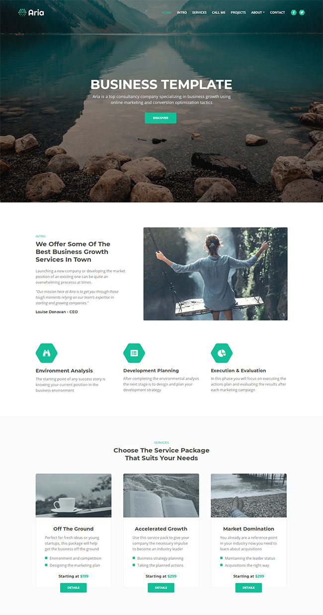 简洁商业营销服务公司html网页模板